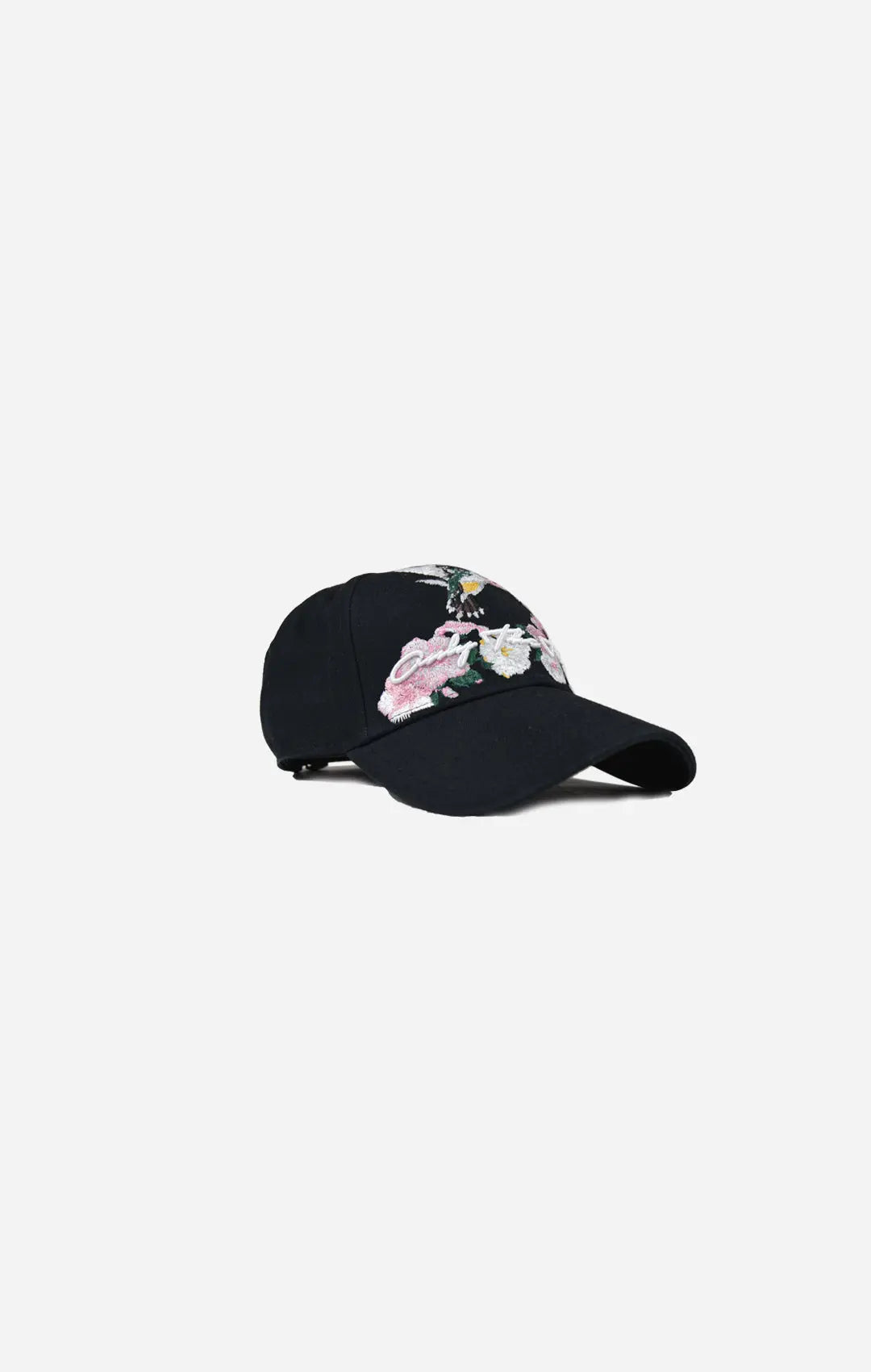 Hummingbird Baseball Cap - ONLY THE BLIND™